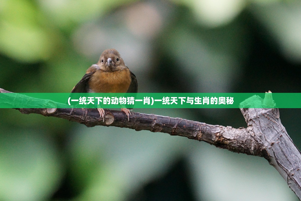 (一统天下的动物猜一肖)一统天下与生肖的奥秘