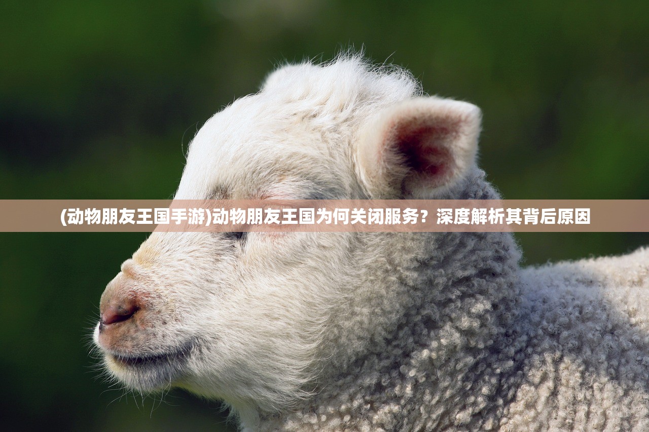 (猎人王h5)猎人王放游戏，深度分析与探索