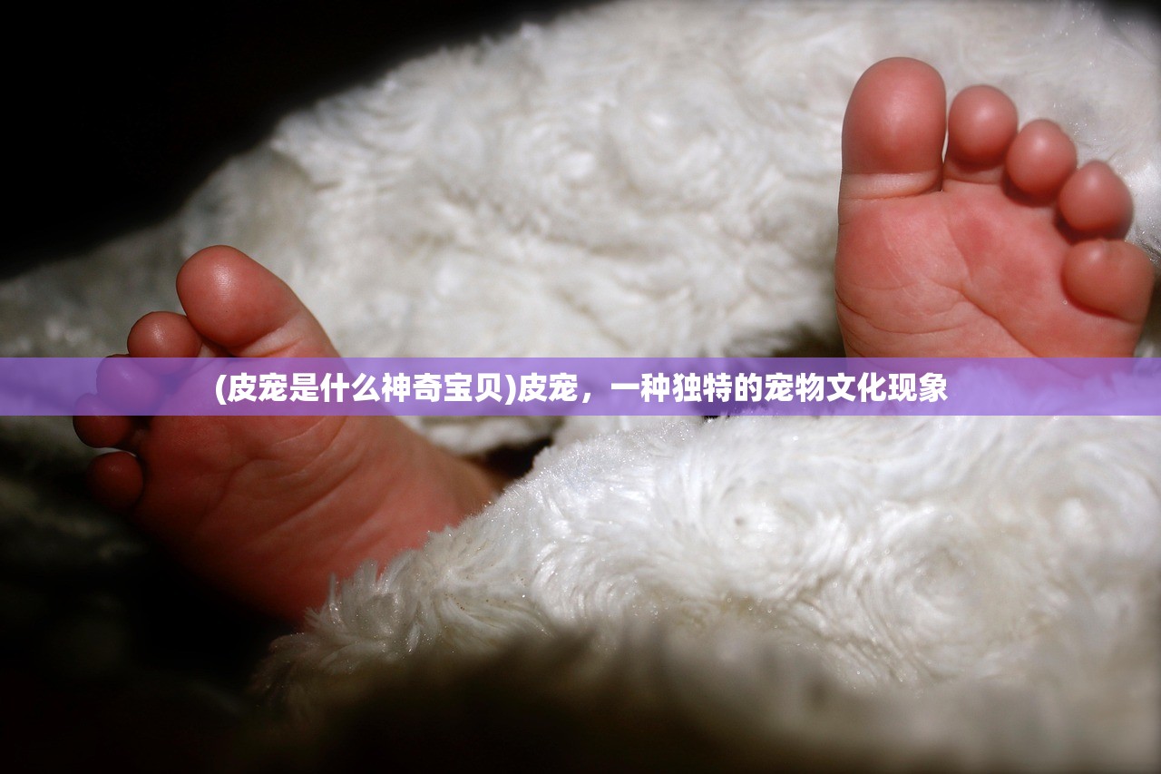 (新冠疫苗后能吃健胃消食片吗)锦绣攻略华裳节主题总汇，一场视觉盛宴的全方位解析