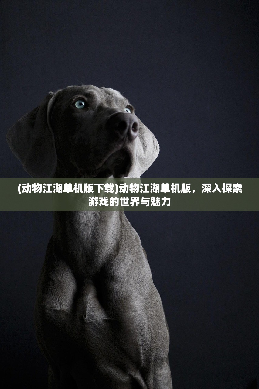 (dnf苍穹守护者称号怎么获得)苍穹护卫队0.4官方版，游戏新篇章的解析与期待