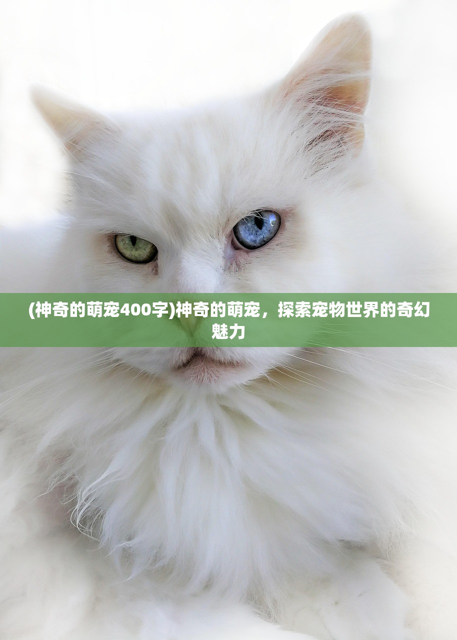 (绝世秘籍攻略全流程视频)绝世秘籍攻略全流程，游戏巅峰之旅