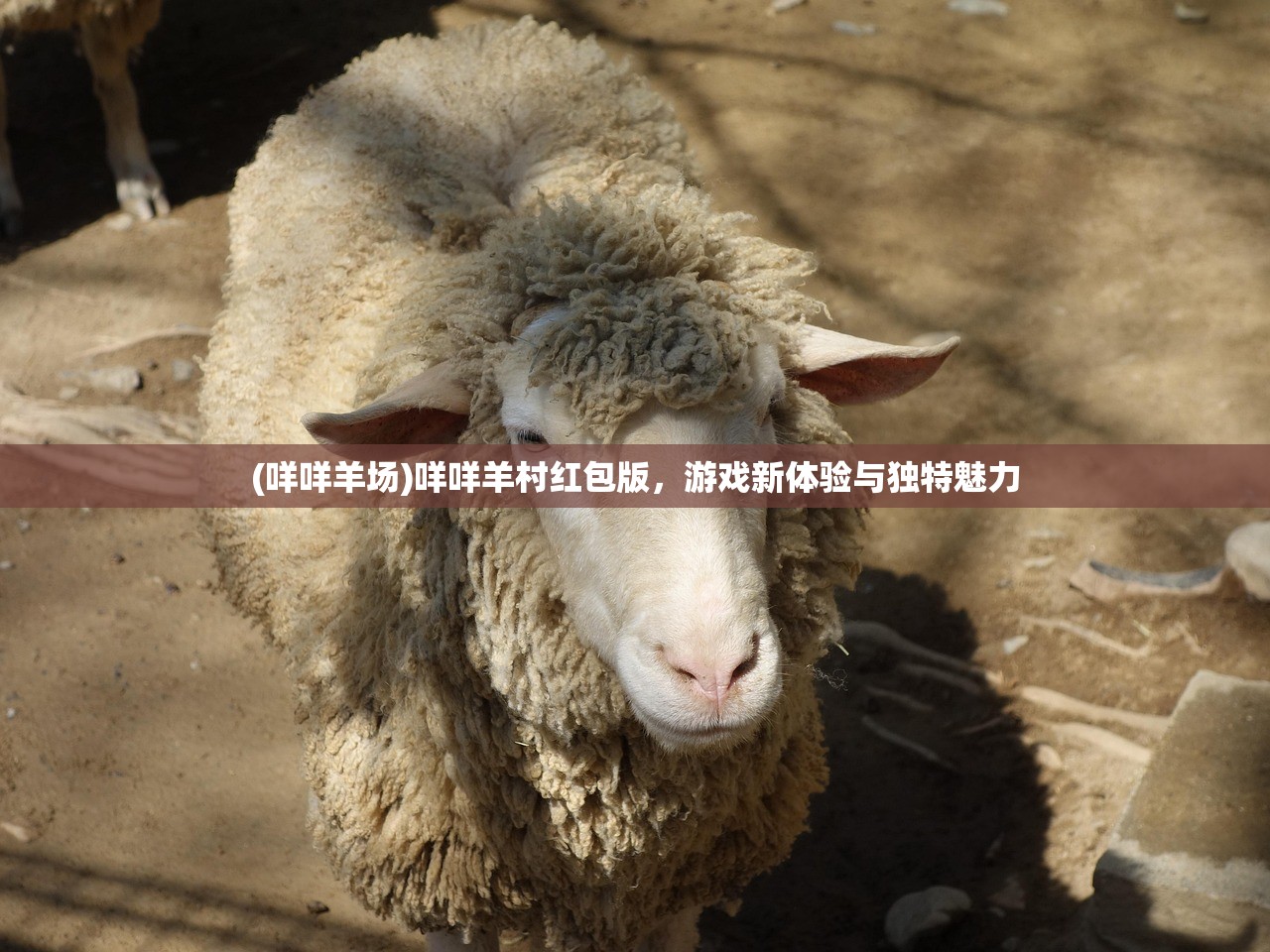 (部落守卫战原石)部落守卫战攻略，草原突围战略详解与常见问题解答