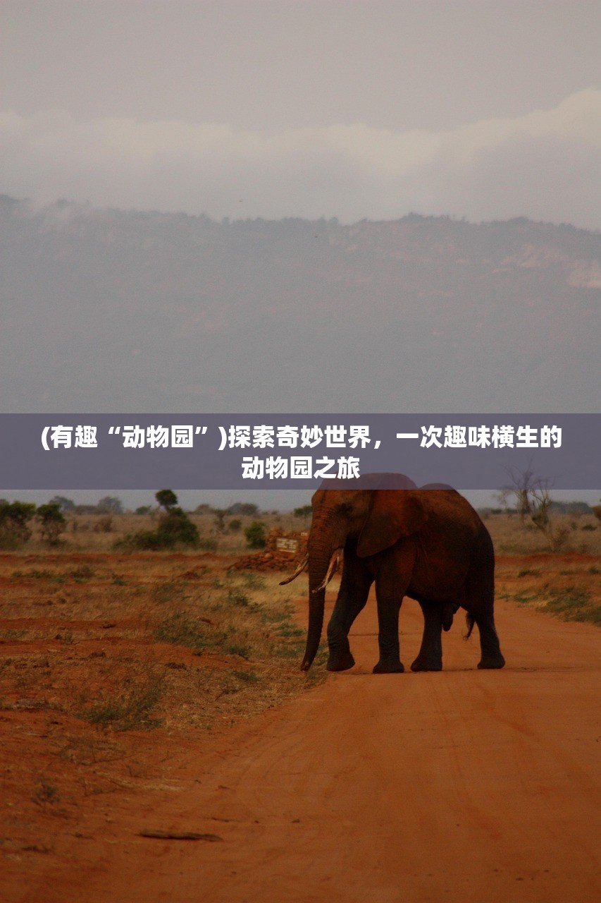 (宝可梦剑盾一周目必抓精灵)宝可梦剑盾一周目必抓攻略与FAQ指南