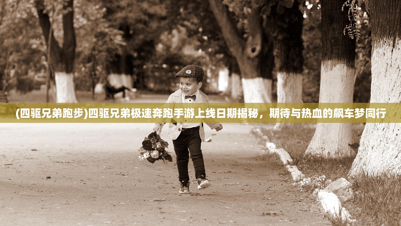 (无双战机最新版本)无双战机最新版，全新体验与独特魅力