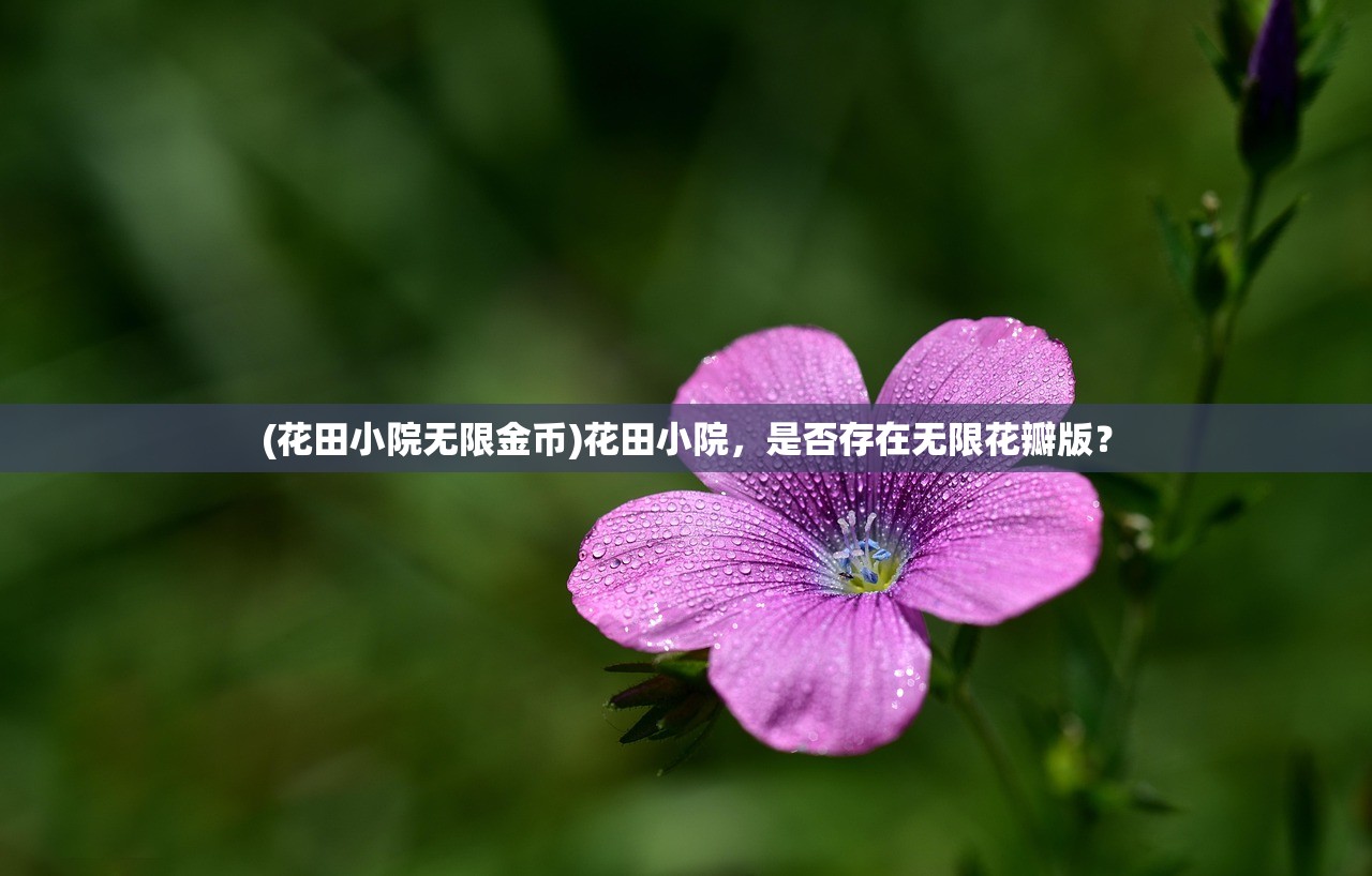 (武功来了24年倒闭了吗知乎)武功来了2,新篇章的武侠探索与挑战 (武功来了24年倒闭了吗知乎)武功来了2,新篇章的武侠探索与挑战