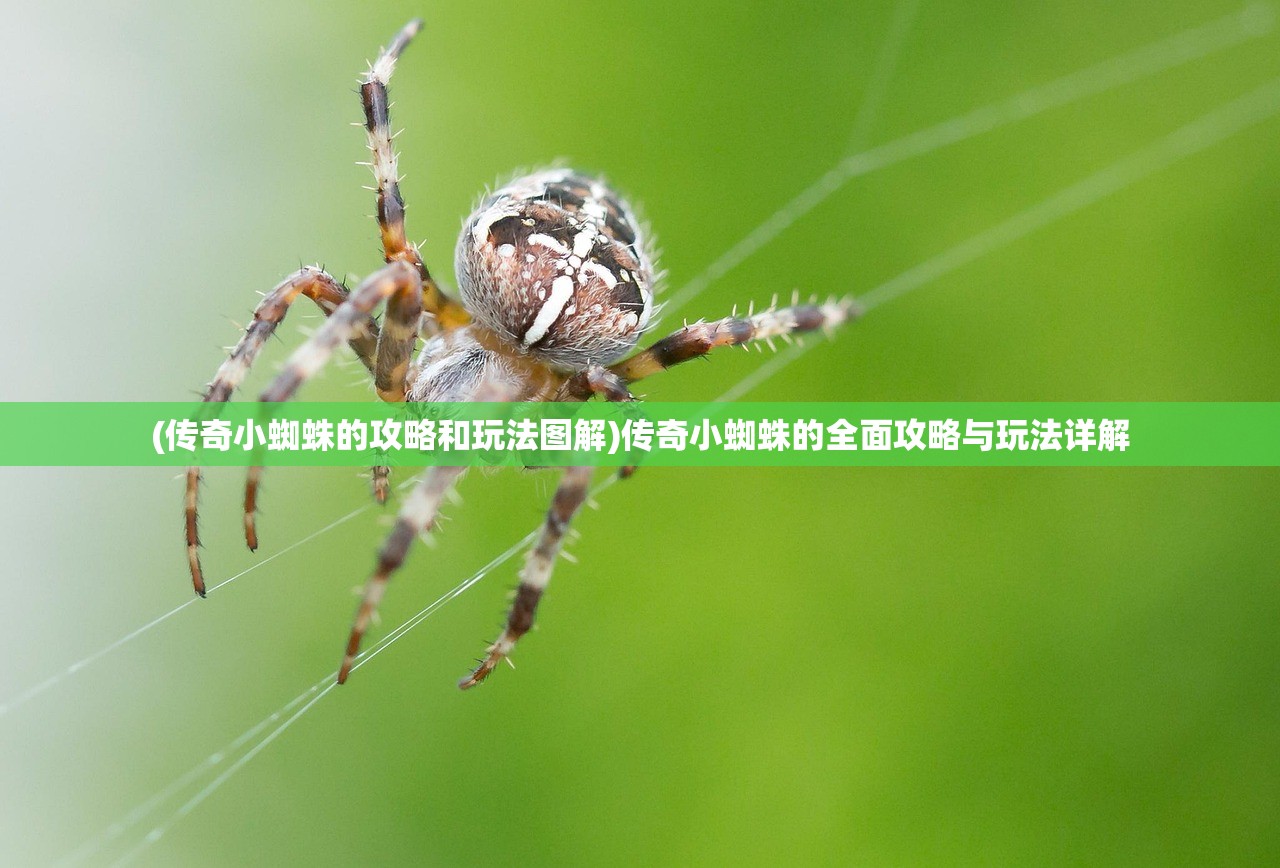 (非人哉官方正版手游下载安装)非人哉官方正版手游，深度解析与玩家指南