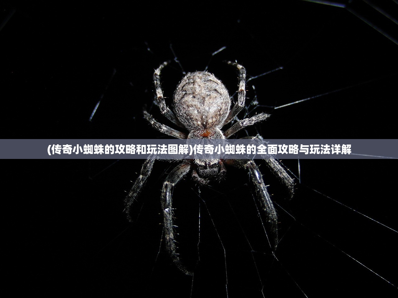 (非人哉官方正版手游下载安装)非人哉官方正版手游，深度解析与玩家指南