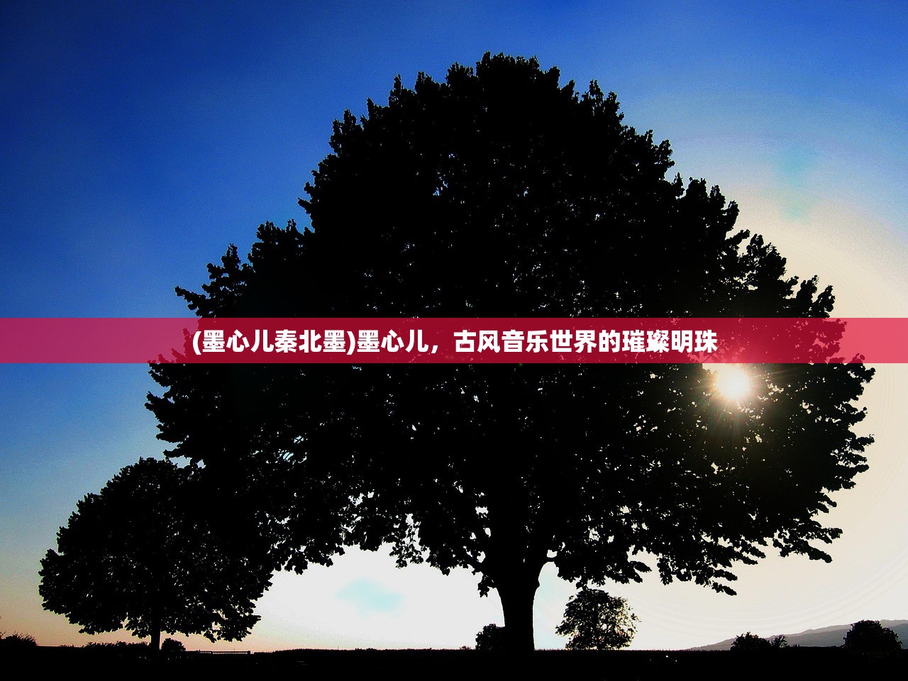 (墨心儿秦北墨)墨心儿,古风音乐世界的璀璨明珠 (墨心儿秦北墨)墨心儿,古风音乐世界的璀璨明珠