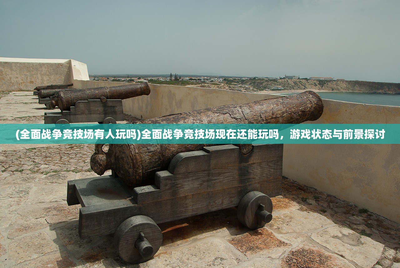 (全面战争竞技场有人玩吗)全面战争竞技场现在还能玩吗,游戏状态与前景探讨 (全面战争竞技场有人玩吗)全面战争竞技场现在还能玩吗,游戏状态与前景探讨