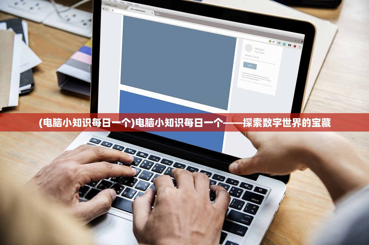 (明日之后网易官方版下载)明日之后网易官方版，深度探索与常见问题解答