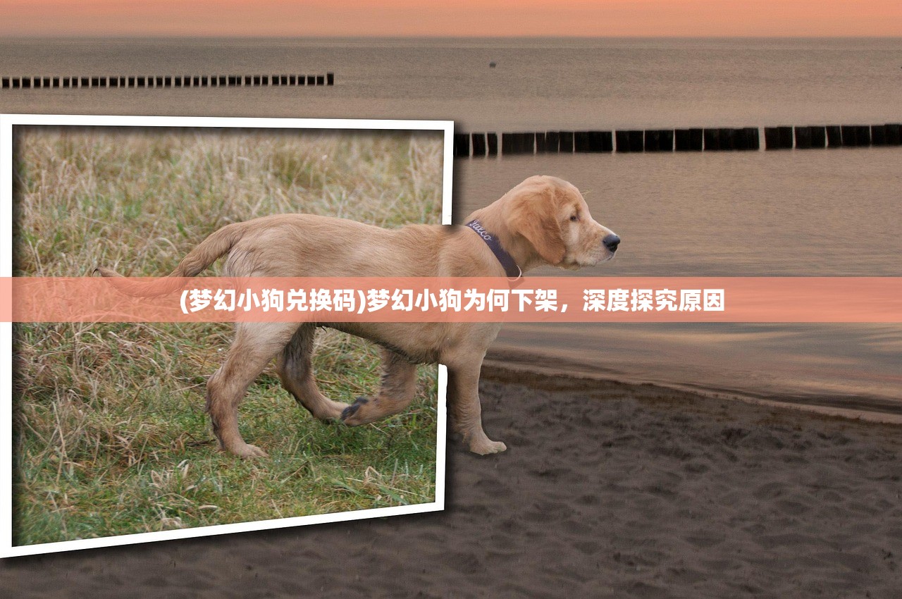 (梦幻小狗兑换码)梦幻小狗为何下架,深度探究原因 (梦幻小狗兑换码)梦幻小狗为何下架,深度探究原因