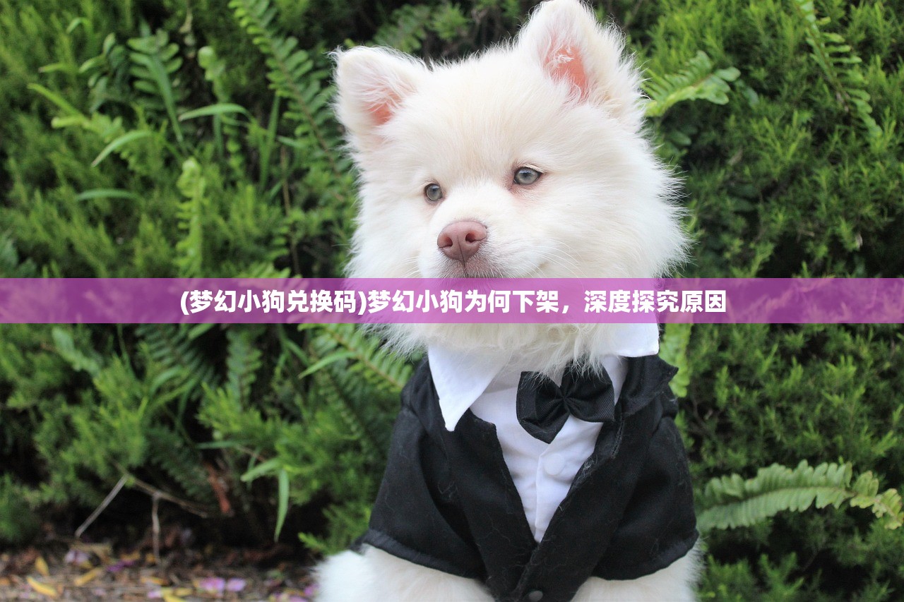 (梦幻小狗兑换码)梦幻小狗为何下架,深度探究原因 (梦幻小狗兑换码)梦幻小狗为何下架,深度探究原因