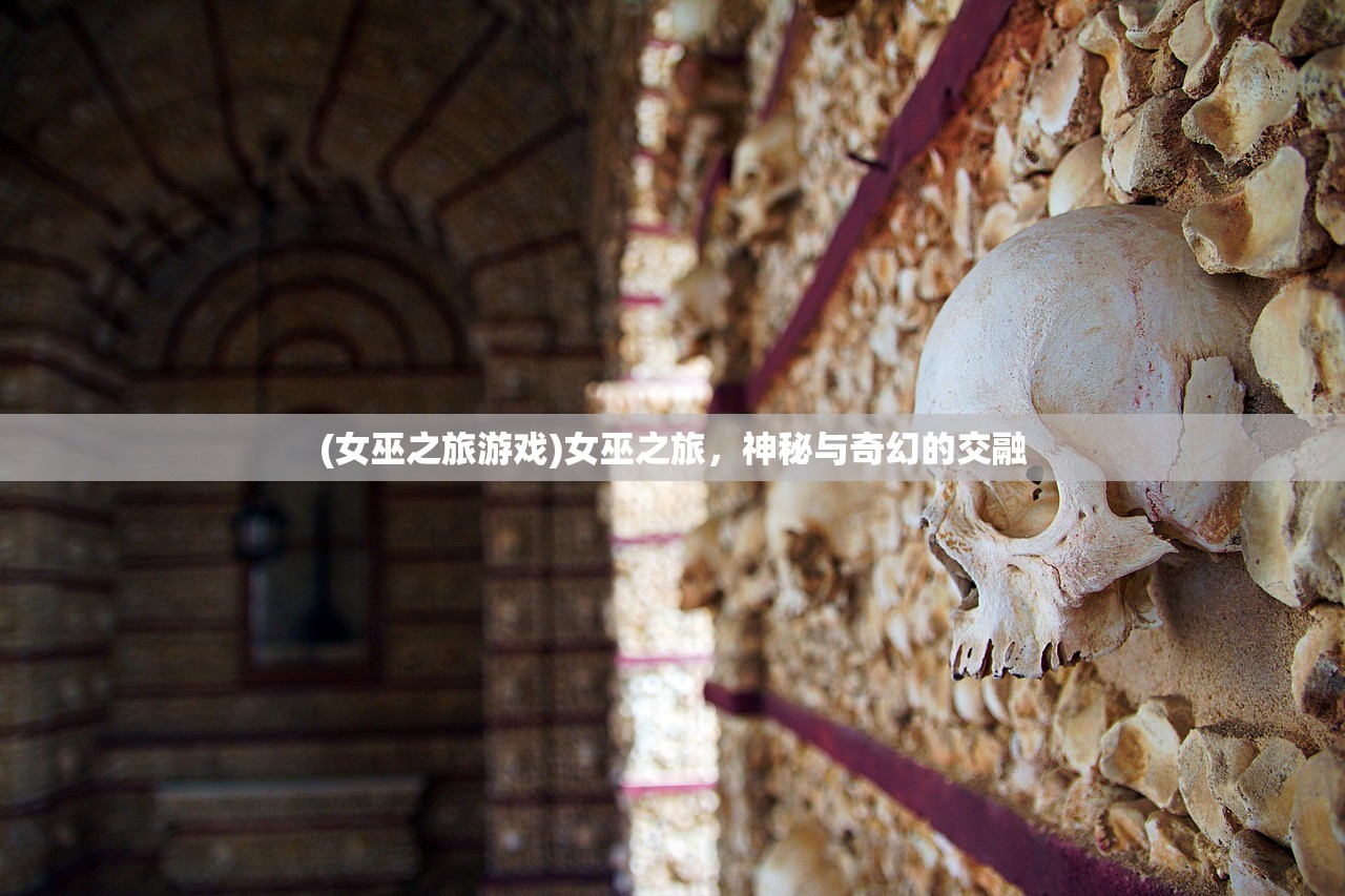 (女巫之旅游戏)女巫之旅，神秘与奇幻的交融