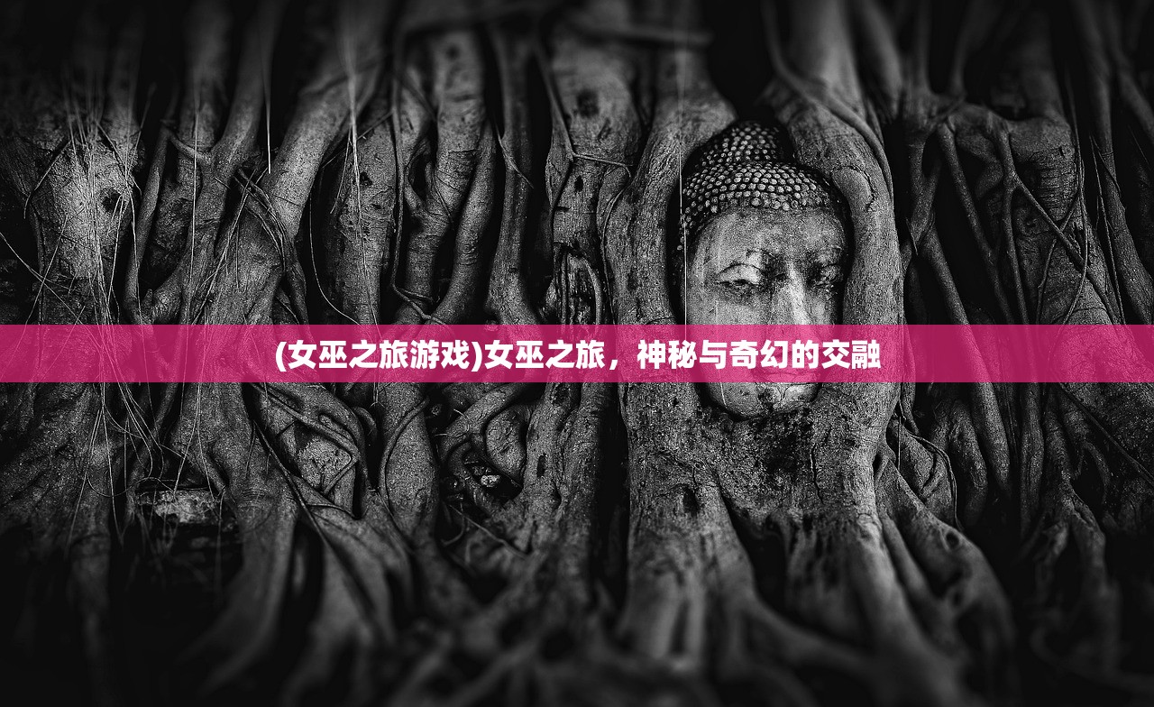 (女巫之旅游戏)女巫之旅，神秘与奇幻的交融