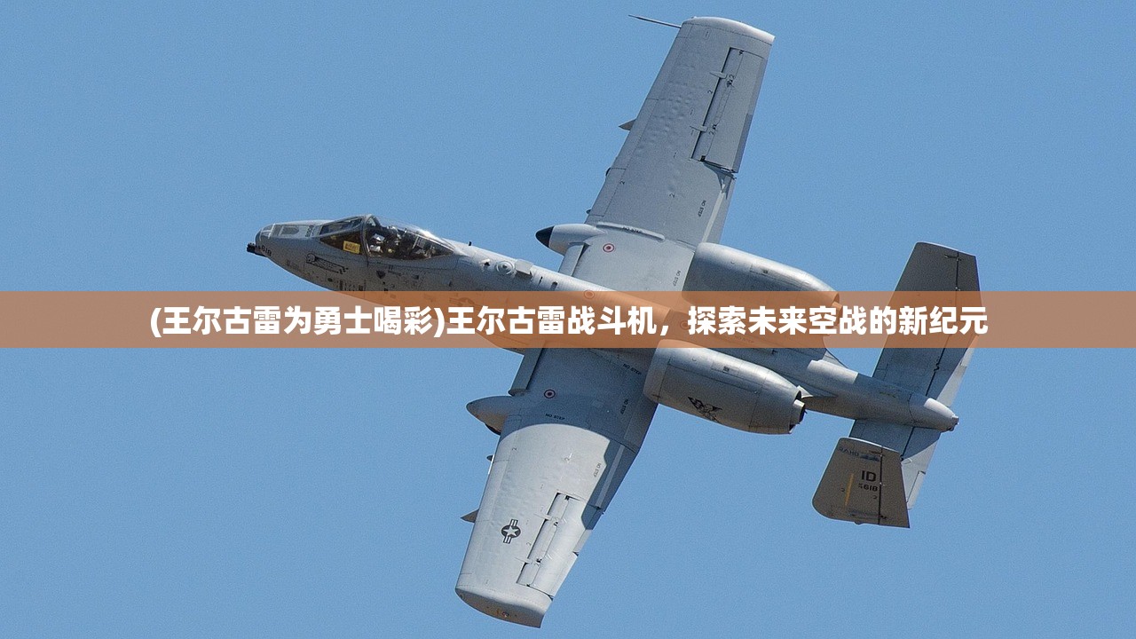 (王尔古雷为勇士喝彩)王尔古雷战斗机,探索未来空战的新纪元 (王尔古雷为勇士喝彩)王尔古雷战斗机,探索未来空战的新纪元
