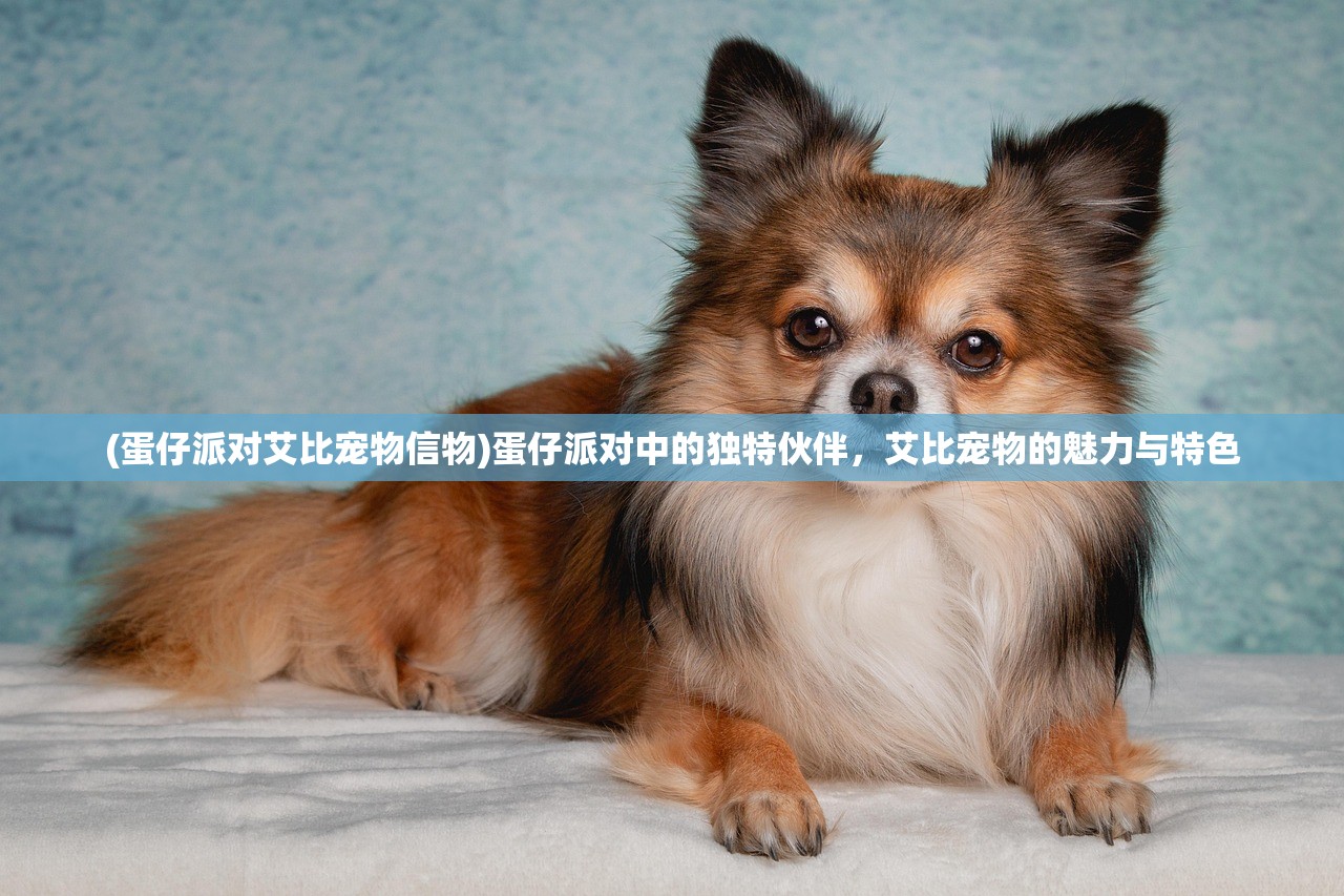 (蛋仔派对艾比宠物信物)蛋仔派对中的独特伙伴,艾比宠物的魅力与特色 (蛋仔派对艾比宠物信物)蛋仔派对中的独特伙伴,艾比宠物的魅力与特色