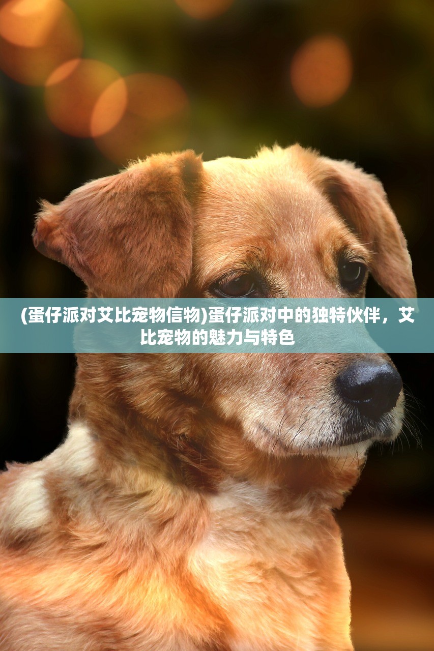 (蛋仔派对艾比宠物信物)蛋仔派对中的独特伙伴,艾比宠物的魅力与特色 (蛋仔派对艾比宠物信物)蛋仔派对中的独特伙伴,艾比宠物的魅力与特色