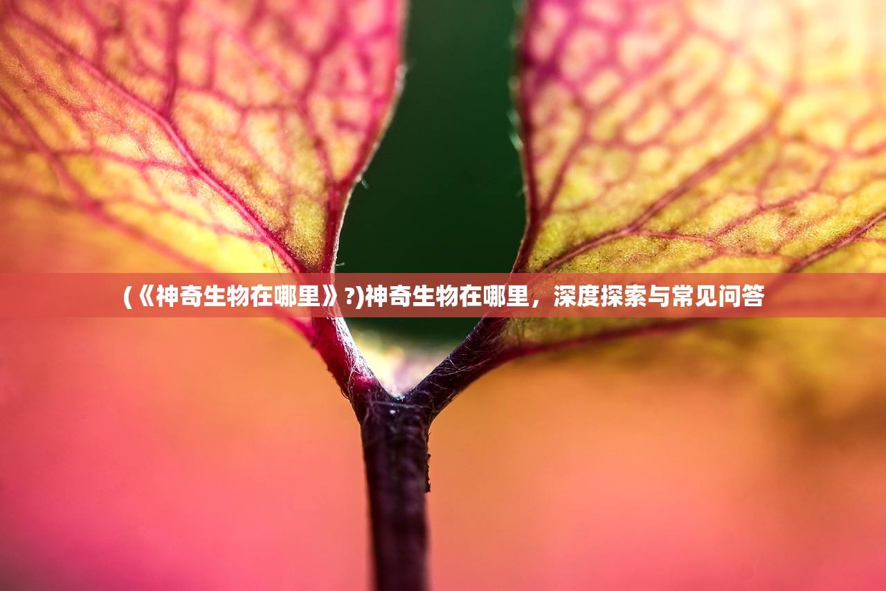 (《神奇生物在哪里》?)神奇生物在哪里,深度探索与常见问答 (《神奇生物在哪里》?)神奇生物在哪里,深度探索与常见问答