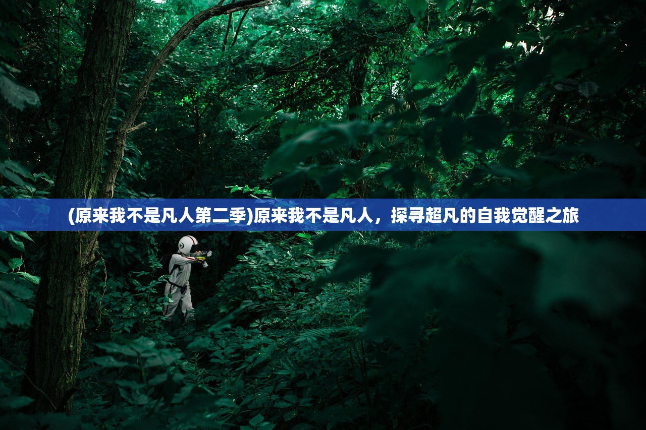 (原来我不是凡人第二季)原来我不是凡人，探寻超凡的自我觉醒之旅