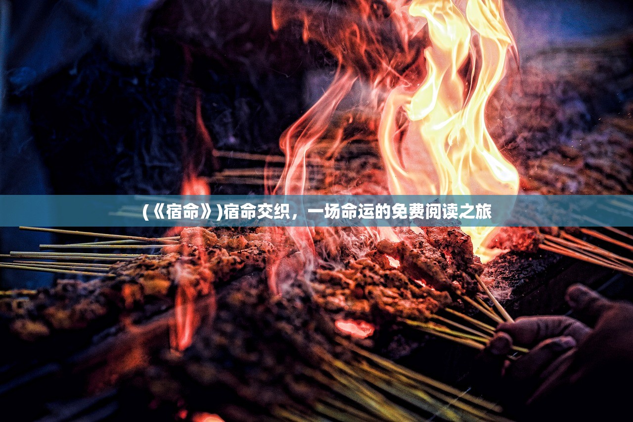 (《宿命》)宿命交织，一场命运的免费阅读之旅