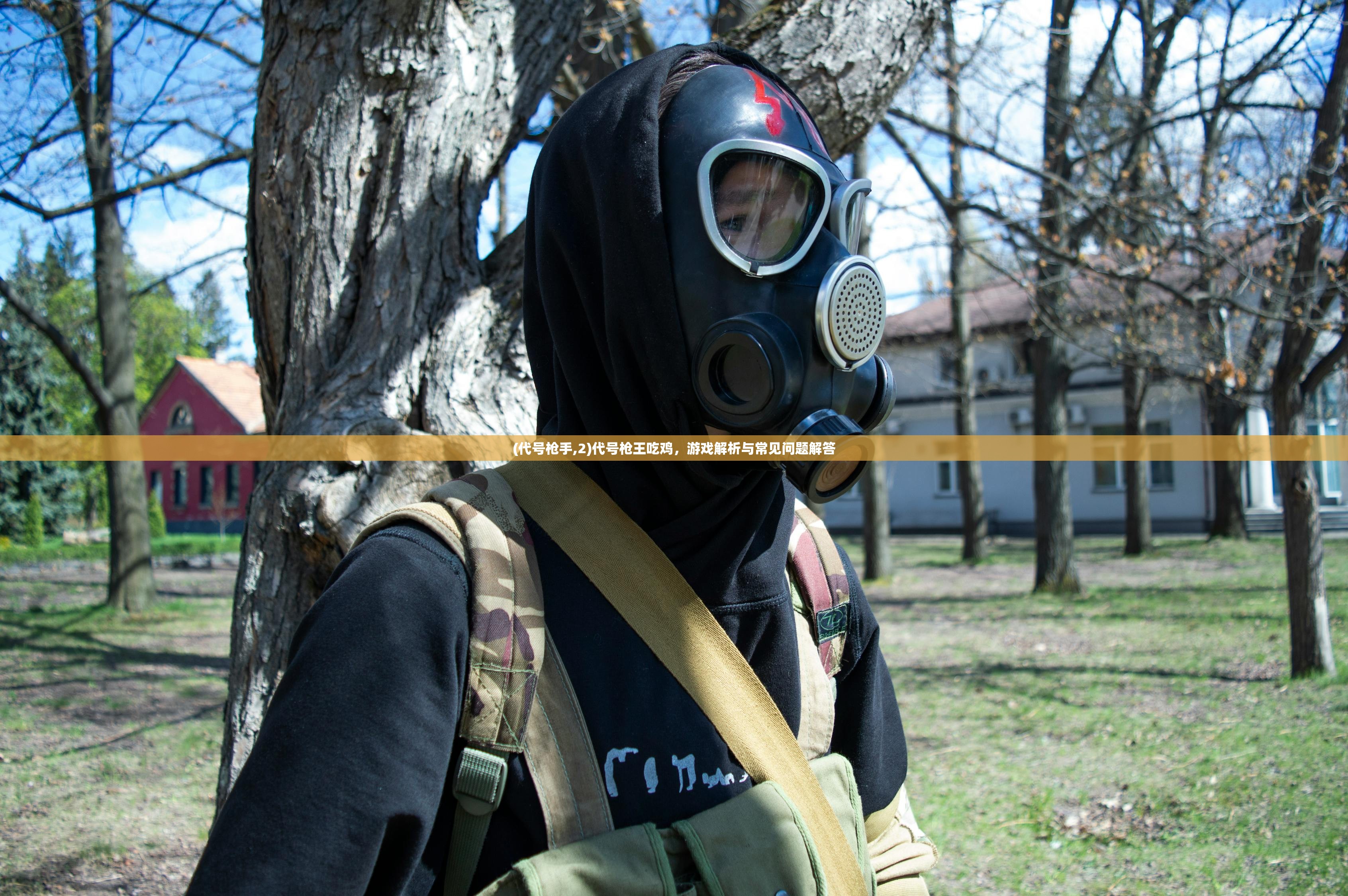 (封仙之怒全部版本)封仙之怒下架原因深度解析与探讨