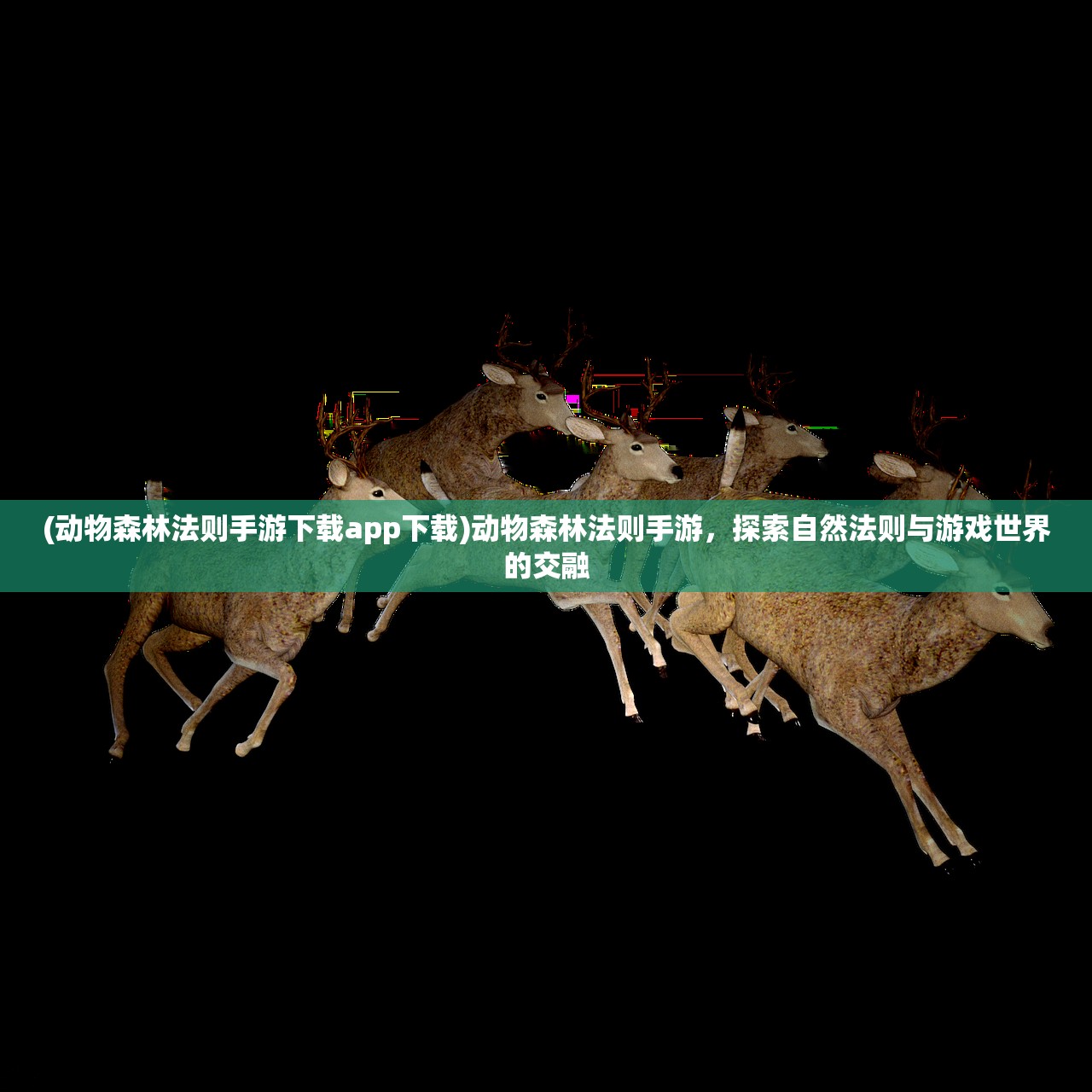 (动物森林法则手游下载app下载)动物森林法则手游，探索自然法则与游戏世界的交融