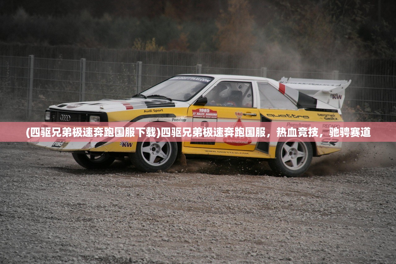 (四驱兄弟极速奔跑国服下载)四驱兄弟极速奔跑国服，热血竞技，驰骋赛道