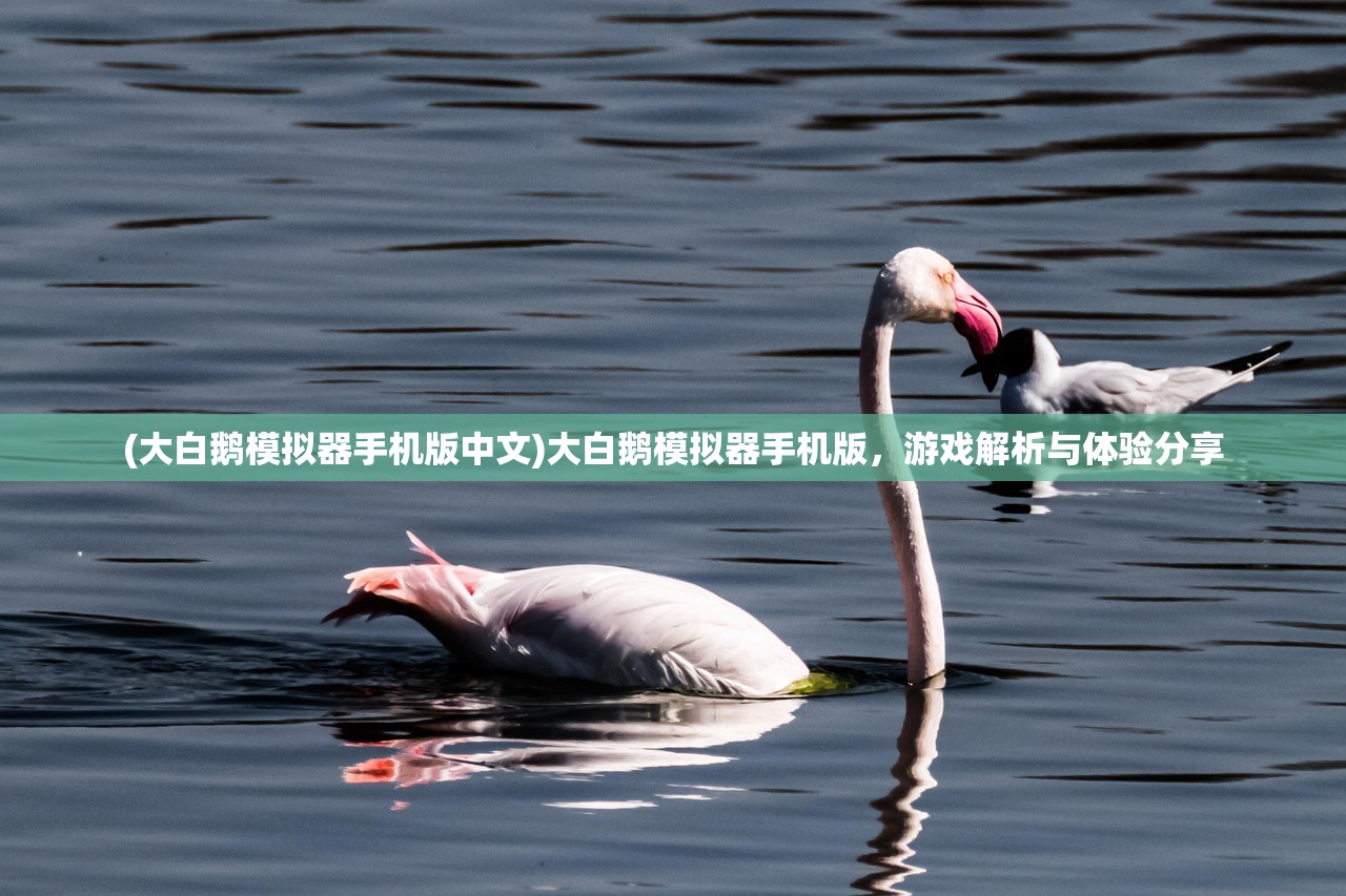 (大白鹅模拟器手机版中文)大白鹅模拟器手机版,游戏解析与体验分享 (大白鹅模拟器手机版中文)大白鹅模拟器手机版,游戏解析与体验分享