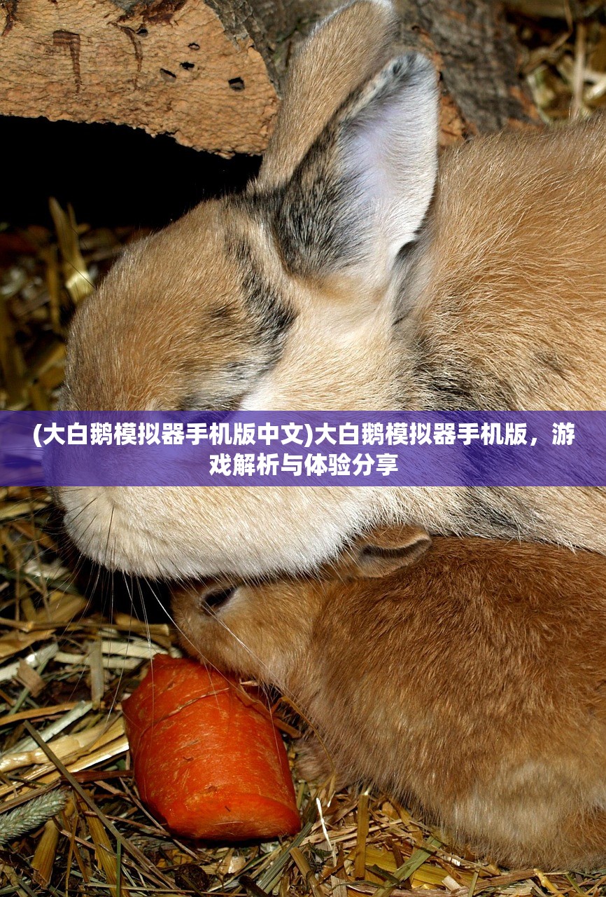 (大白鹅模拟器手机版中文)大白鹅模拟器手机版,游戏解析与体验分享 (大白鹅模拟器手机版中文)大白鹅模拟器手机版,游戏解析与体验分享
