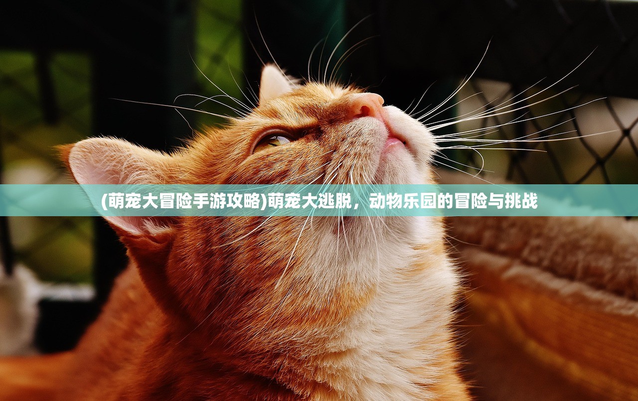 (萌宠大冒险手游攻略)萌宠大逃脱，动物乐园的冒险与挑战