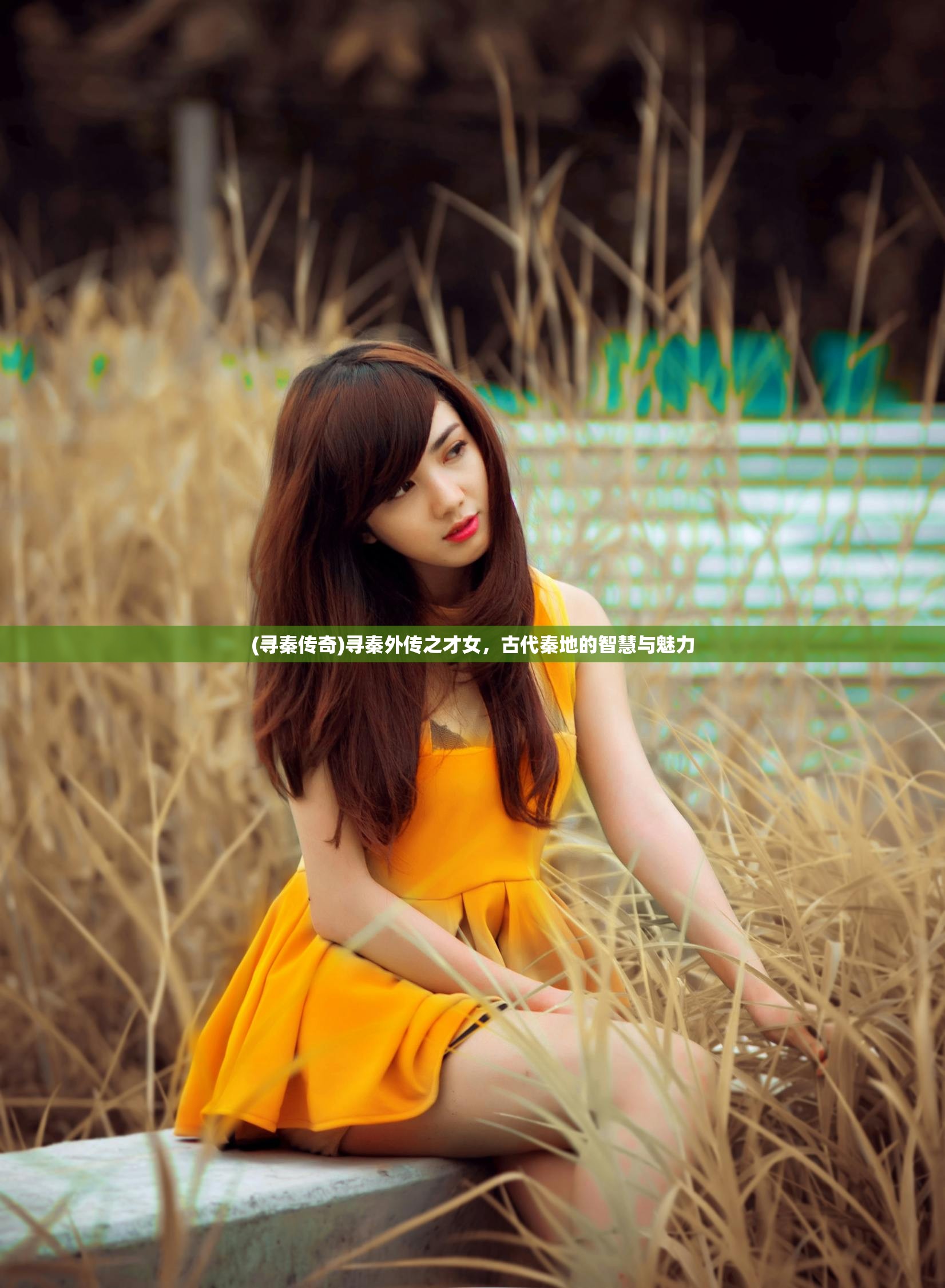 (寻秦传奇)寻秦外传之才女，古代秦地的智慧与魅力