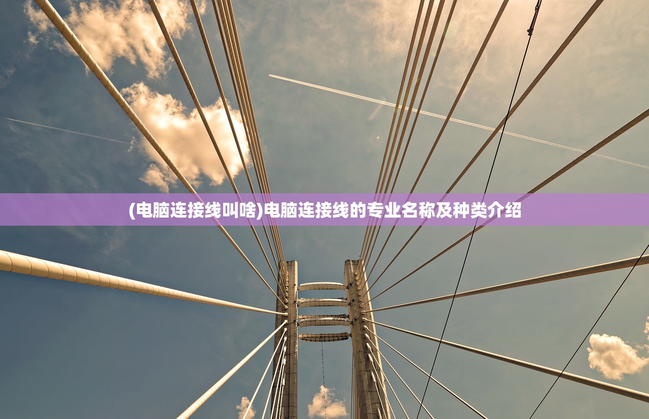 (电脑连接线叫啥)电脑连接线的专业名称及种类介绍 (电脑连接线叫啥)电脑连接线的专业名称及种类介绍