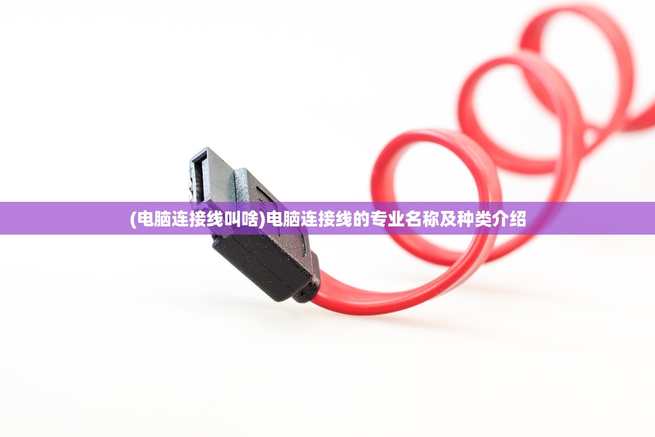(电脑连接线叫啥)电脑连接线的专业名称及种类介绍 (电脑连接线叫啥)电脑连接线的专业名称及种类介绍