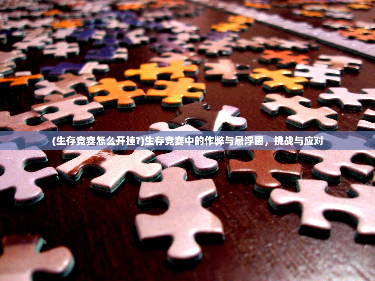 (生存竞赛怎么开挂?)生存竞赛中的作弊与悬浮窗，挑战与应对