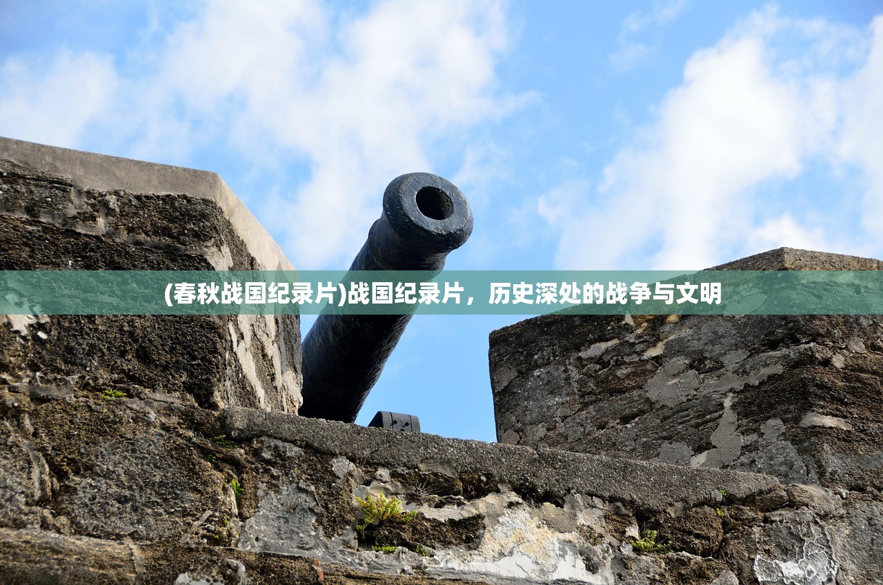 (春秋战国纪录片)战国纪录片，历史深处的战争与文明