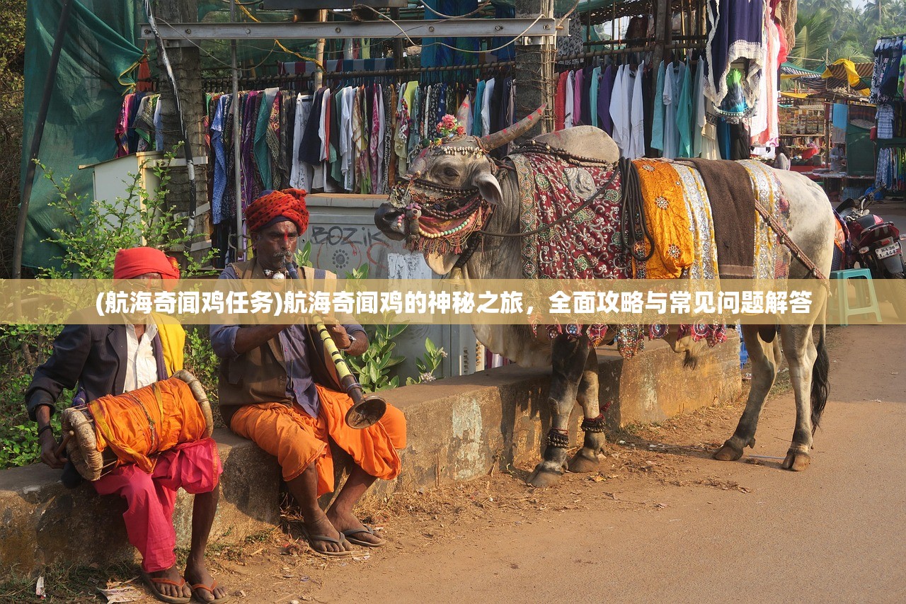 (航海奇闻鸡任务)航海奇闻鸡的神秘之旅,全面攻略与常见问题解答 (航海奇闻鸡任务)航海奇闻鸡的神秘之旅,全面攻略与常见问题解答