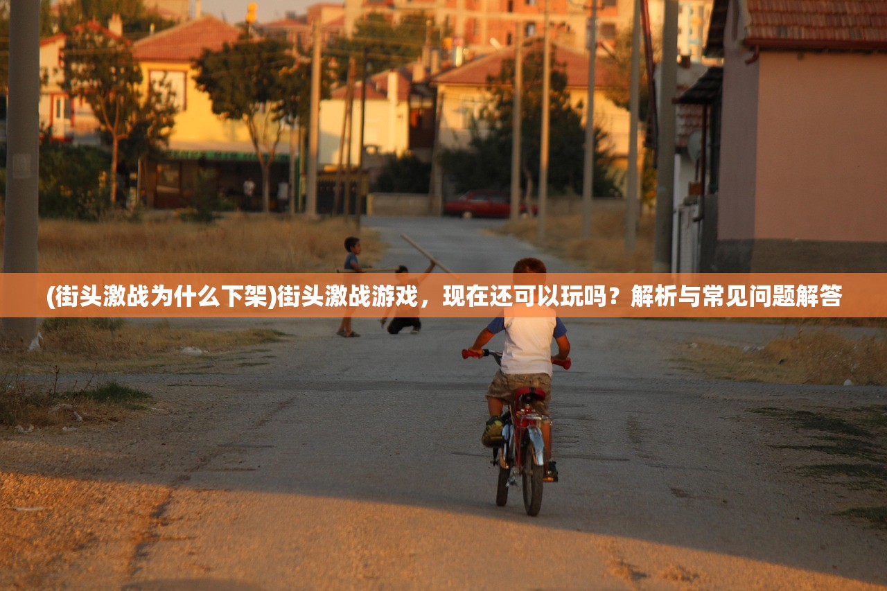 (街头激战为什么下架)街头激战游戏,现在还可以玩吗?解析与常见问题解答 (街头激战为什么下架)街头激战游戏,现在还可以玩吗?解析与常见问题解答