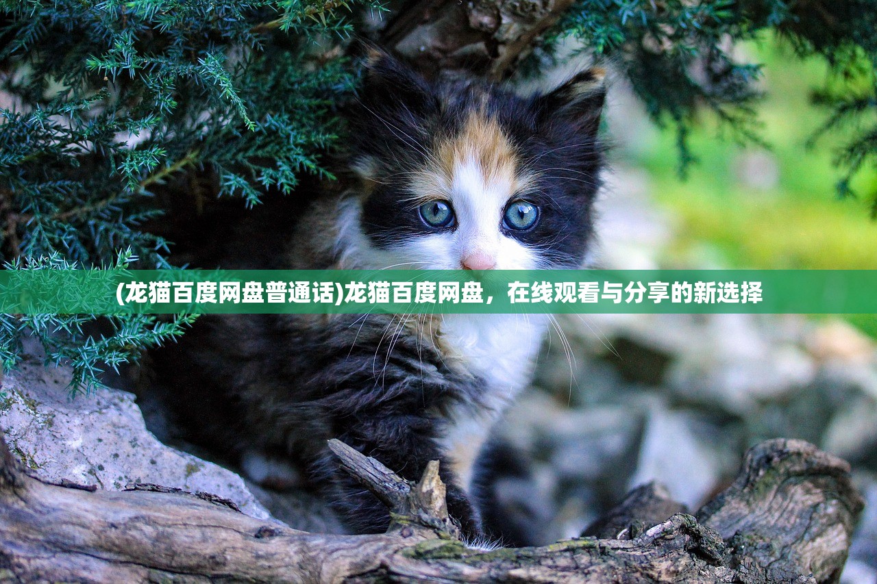 (龙猫百度网盘普通话)龙猫百度网盘,在线观看与分享的新选择 (龙猫百度网盘普通话)龙猫百度网盘,在线观看与分享的新选择