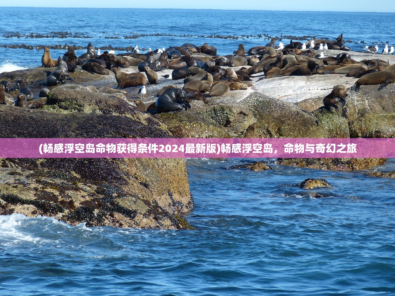 (畅感浮空岛命物获得条件2024最新版)畅感浮空岛，命物与奇幻之旅
