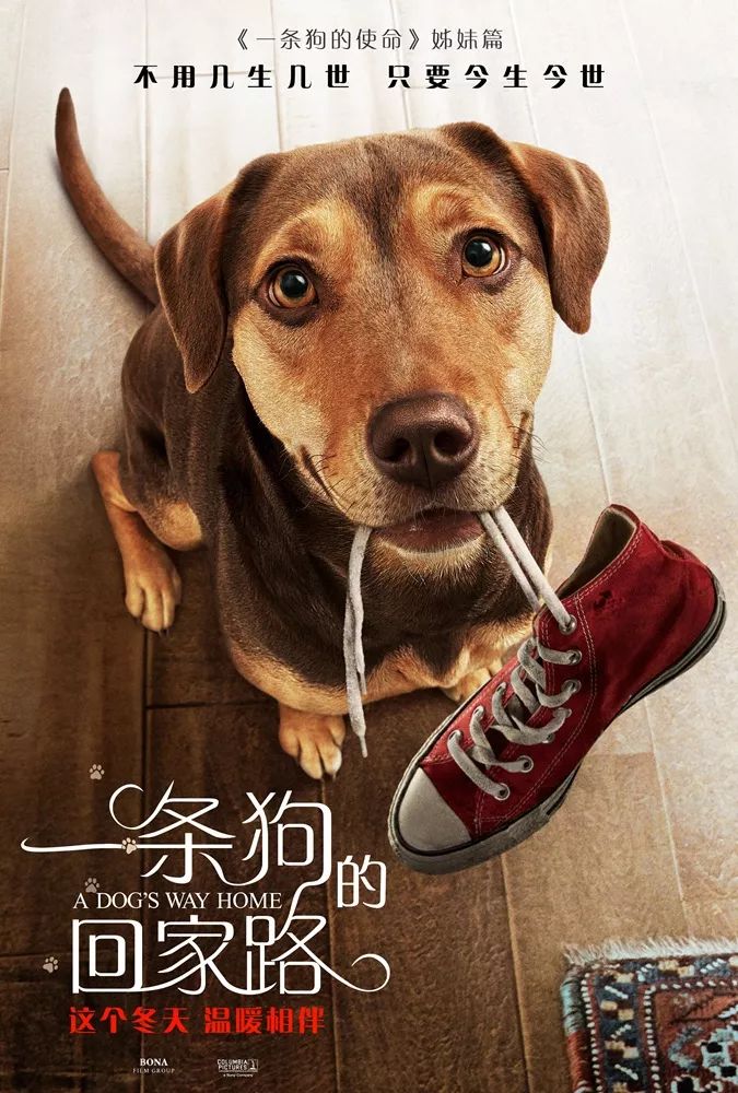 狗狗逃生射击下载中文-狗狗逃生射击玩穿越下载v.2.13