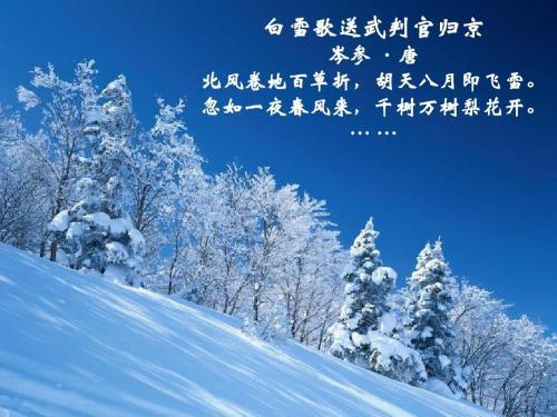 冬日树下的回忆本官方下载安装-冬日树下的回忆模拟器下载完整版v.1.32